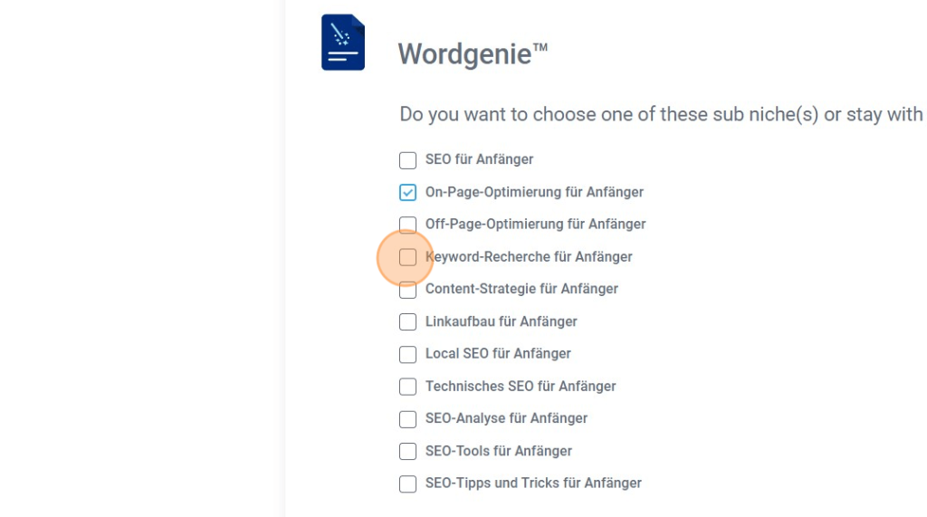 Unterthema, Nische für Lead Magneten